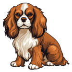 Página Para Colorear de Cavalier King Charles Spaniel 2