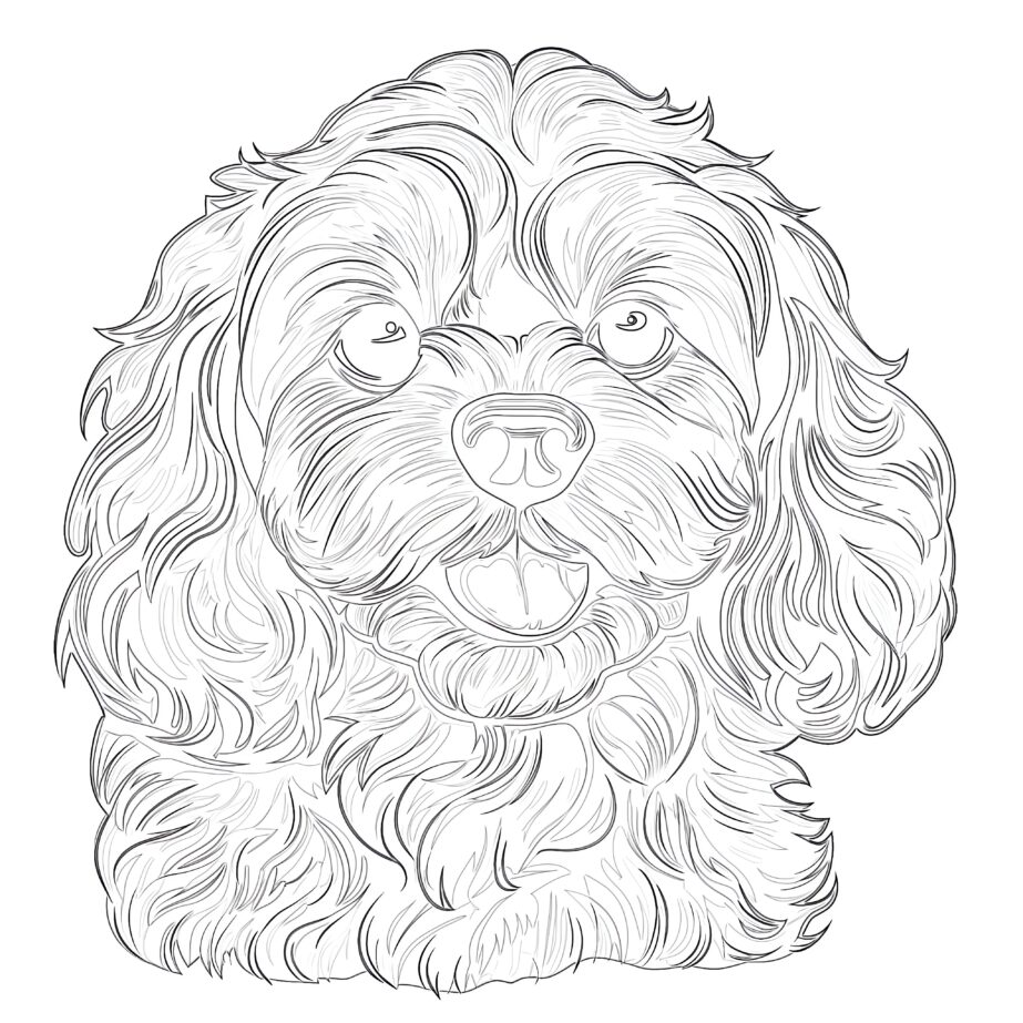 Cavapoo Coloring Pages
