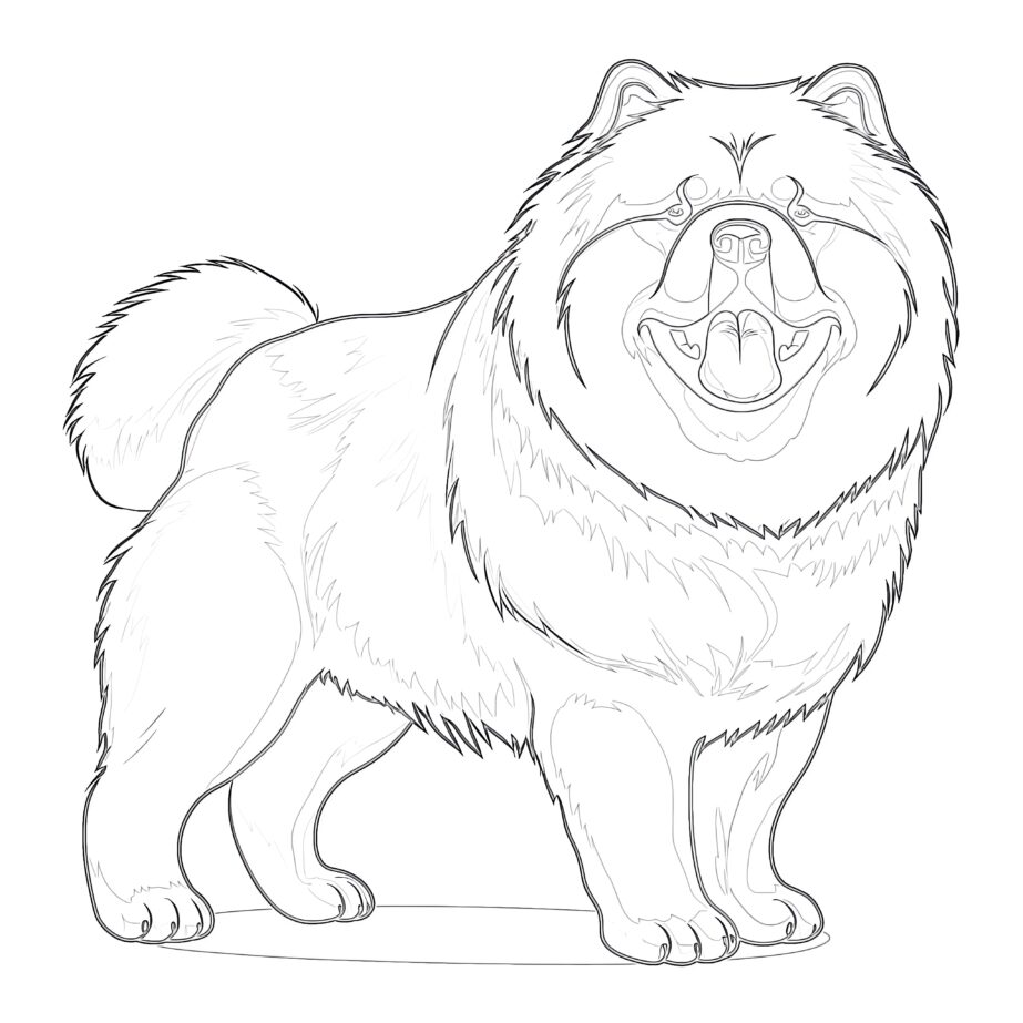 Chow Chow Coloring Pages