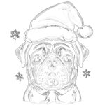 Navidad Pug Páginas Para Colorear