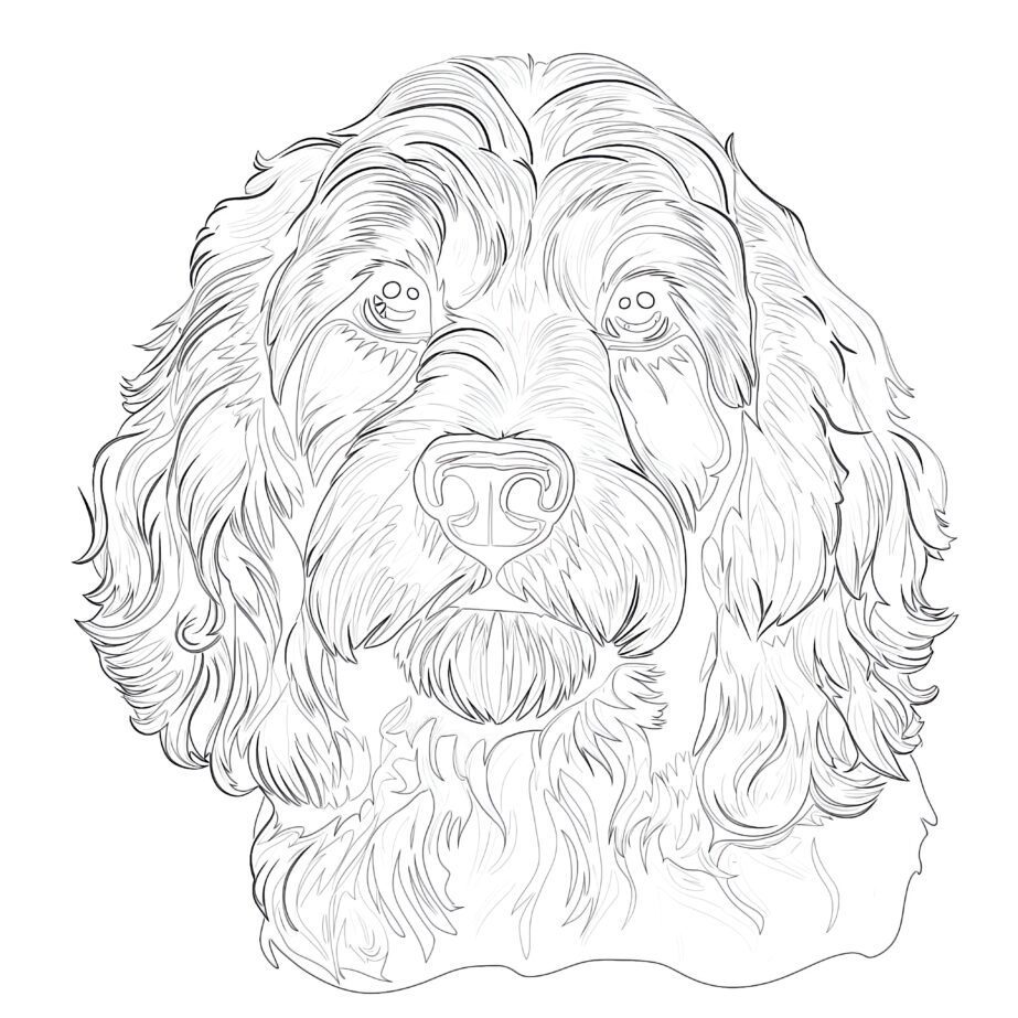 Cockapoo Coloring Pages