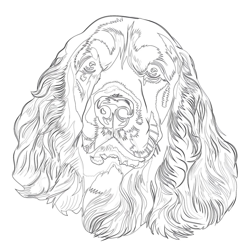 Cocker Spaniel Coloring Page | Coloring Pages Mimi Panda