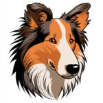 Collie Coloring Page 2