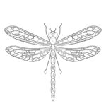 Coloring Page Dragonfly