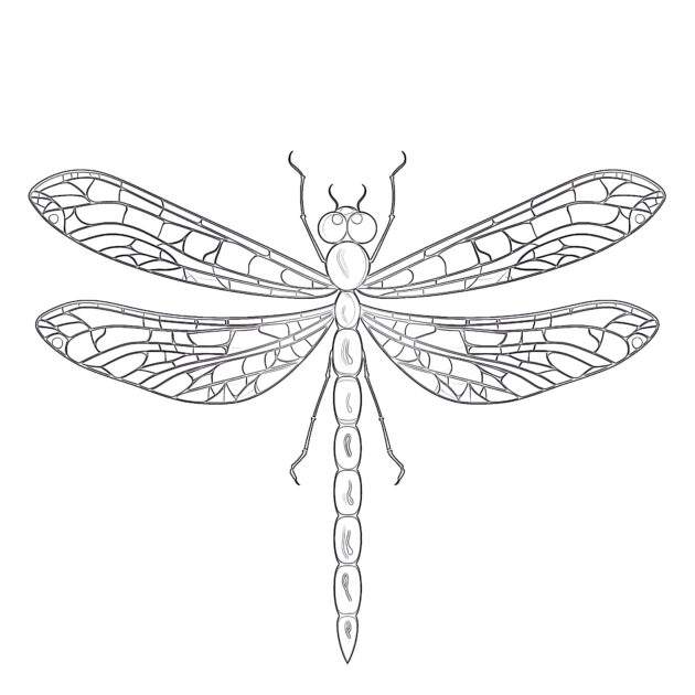 Coloring Page Dragonfly | Coloring Pages Mimi Panda