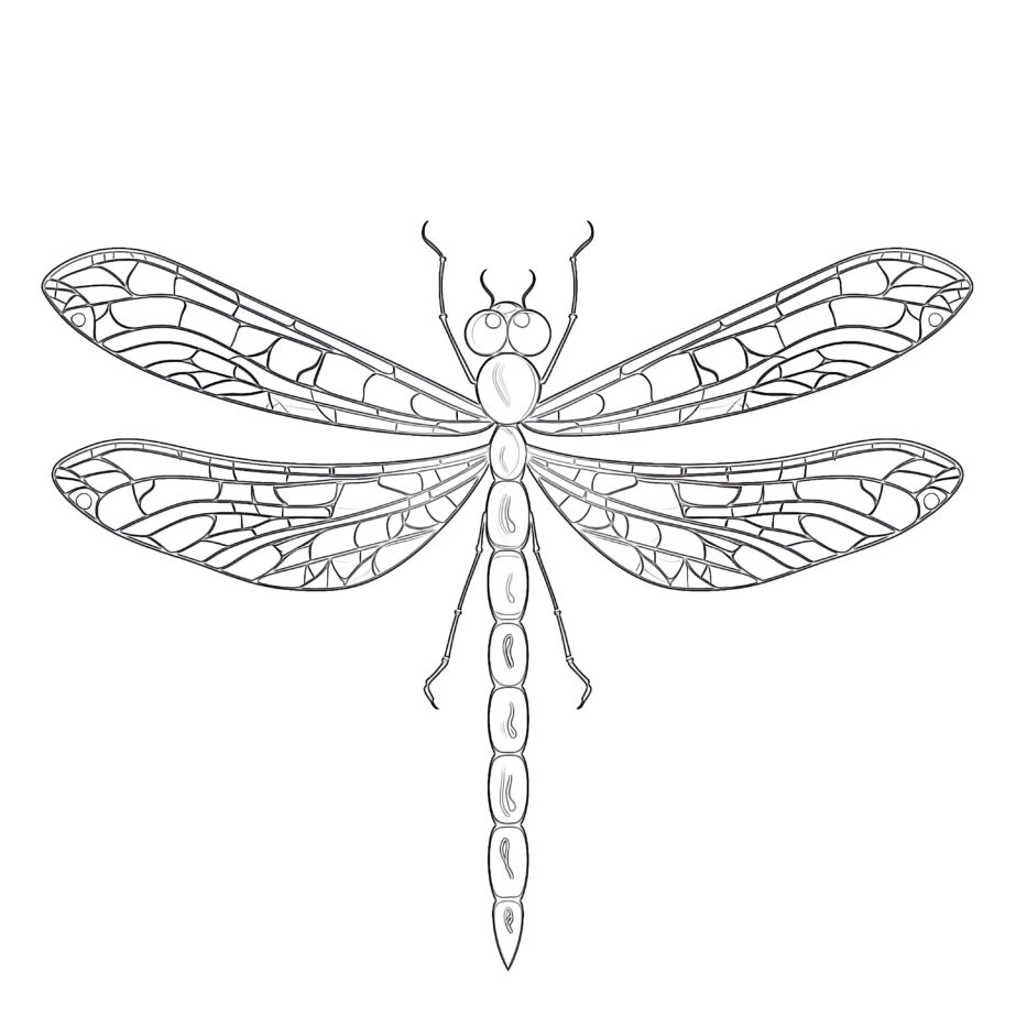 Coloring Page Dragonfly