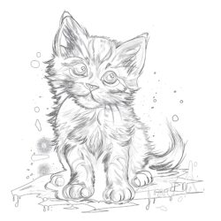 Coloring Page Kitten - Printable Coloring page