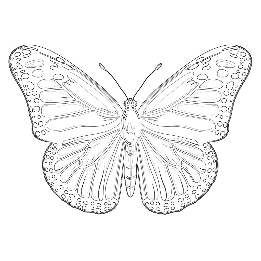 Coloring Page Monarch Butterfly | Coloring Pages Mimi Panda