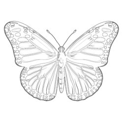 Coloring Page Monarch Butterfly - Printable Coloring page