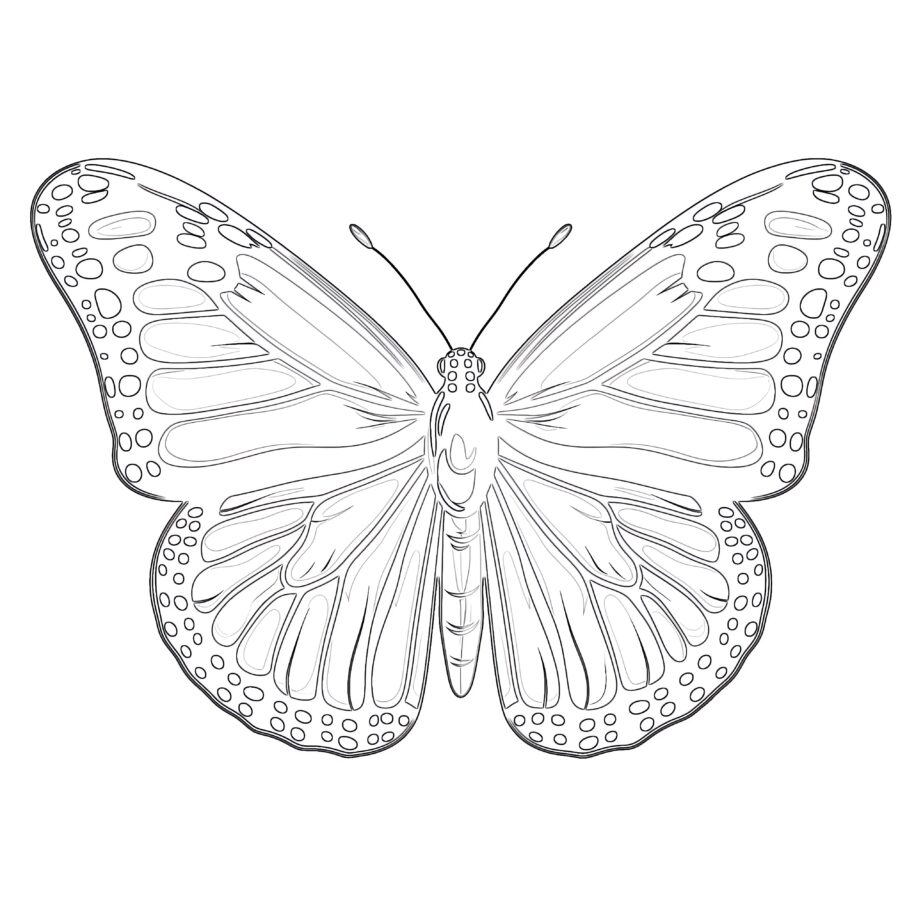 Coloring Page Monarch Butterfly