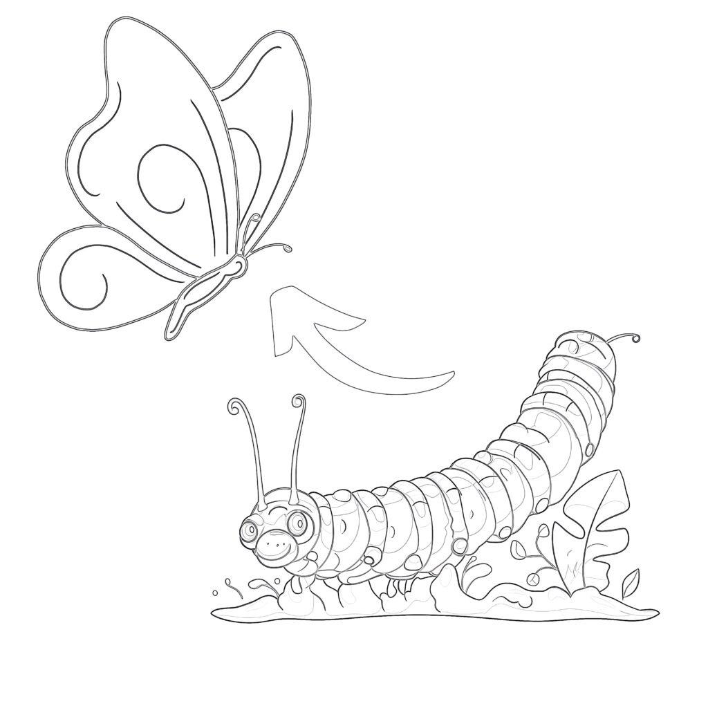 Coloring pages caterpillar to butterfly coloring pages mimi panda