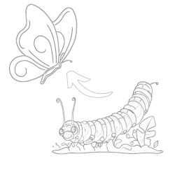 Coloring Pages Caterpillar To Butterfly - Printable Coloring page