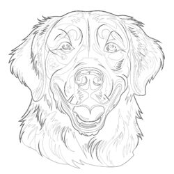 Coloring Pages Golden Retriever - Printable Coloring page