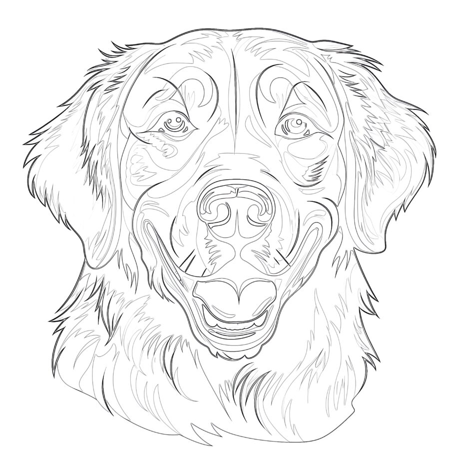 Coloring Pages Golden Retriever