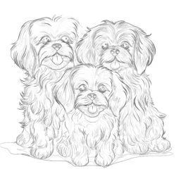 Coloring Pages Of Cute Dogs - Printable Coloring page