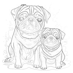 Coloring Pages Of Pugs - Printable Coloring page