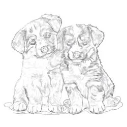 Coloring Pages Of Realistic Puppies - Printable Coloring page