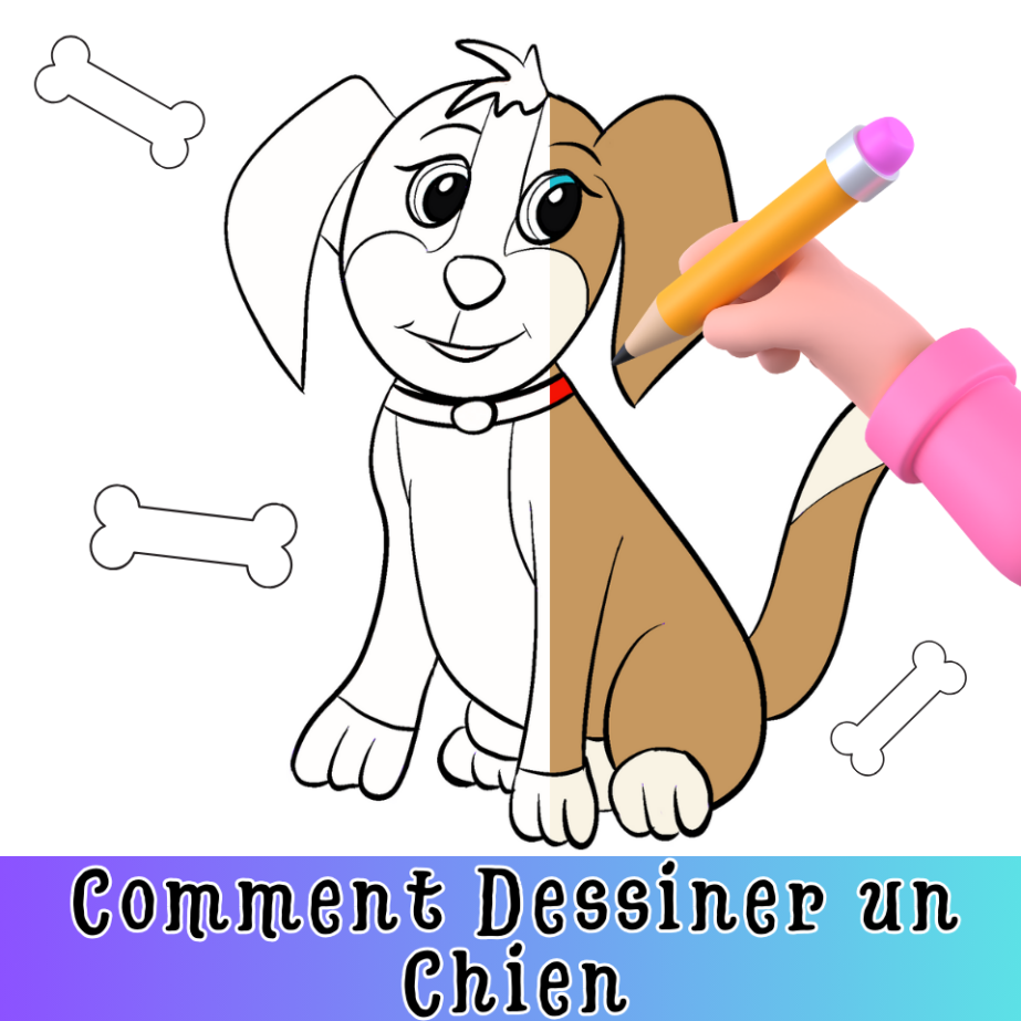 Comment Dessiner un Chien: Un pas à pas | Comment Faire Mimi Panda