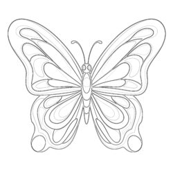 Cute Butterfly Coloring Pages - Printable Coloring page