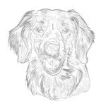 Hond Kleurplaten Schattig
