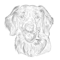 Dog Coloring Pages Cute - Printable Coloring page