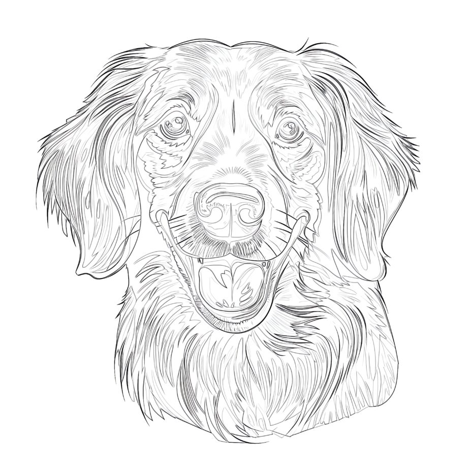 Dog Coloring Pages Cute