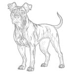 Dog Coloring Pages Realistic