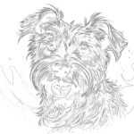 Chien Pour Les Pages à Colorier