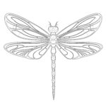 Dragonfly Coloring Pages Printable