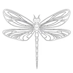 Dragonfly Coloring Pages Printable - Printable Coloring page