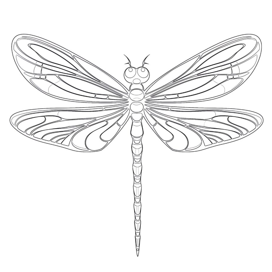 Dragonfly Coloring Pages Printable