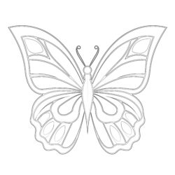 Easy Butterfly Coloring Pages - Printable Coloring page