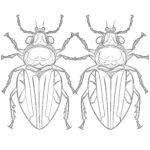 Pages à Colorier Gratuites Sur les Insectes