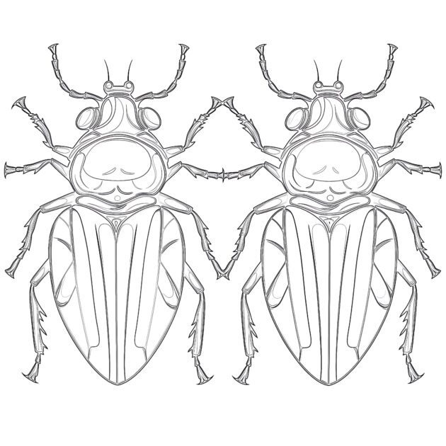 Online Coloring Free Bugs Coloring - Free Bugs Coloring Pages 630x630 