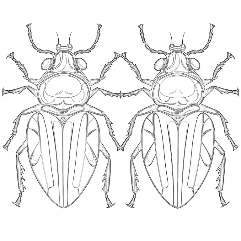 Free Bugs Coloring Pages | Coloring Pages Mimi Panda