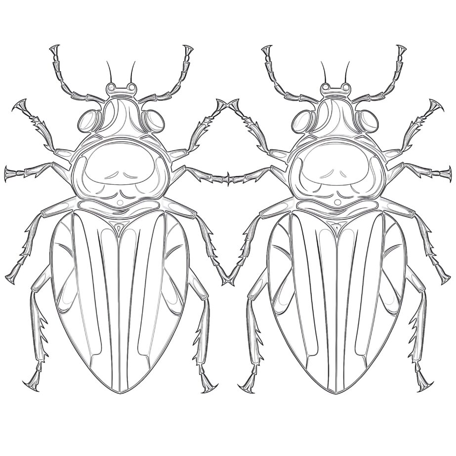 Free Bugs Coloring Pages