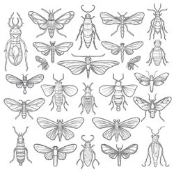 Free Coloring Pages Insects - Printable Coloring page