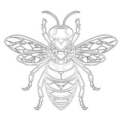 Free Honey Bee Coloring Pages - Printable Coloring page