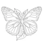 Free Monarch Butterfly Coloring Pages