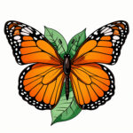 Free Monarch Butterfly Coloring Pages 2 2