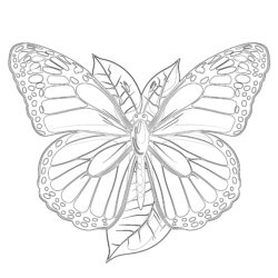 Free Monarch Butterfly Coloring Pages - Printable Coloring page