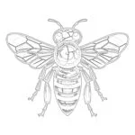 Honigbienen-Malvorlagen zum Ausdrucken