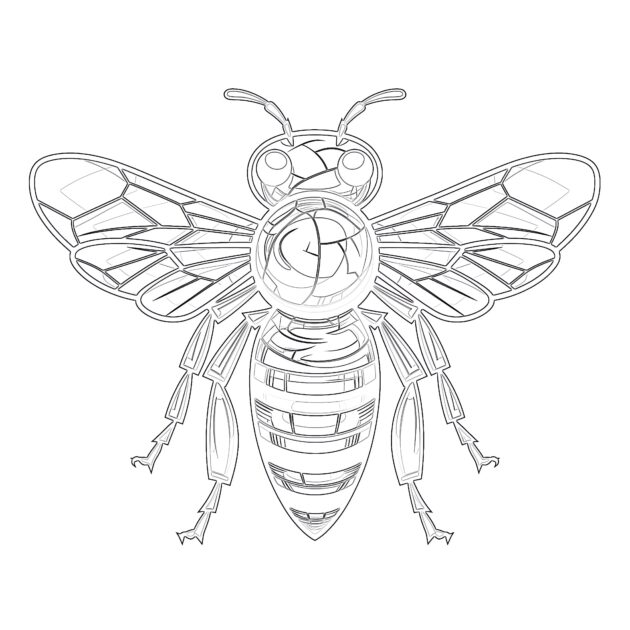 Online Coloring Honey Bee Coloring - Honey Bee Coloring Pages Printable 630x630 