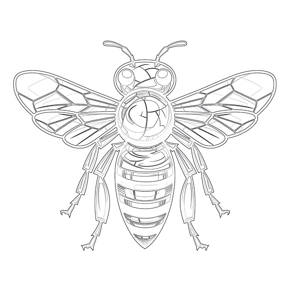 Honey Bee Coloring Pages Printable