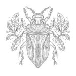 Pages de Coloriage D’insectes Pour Adultes