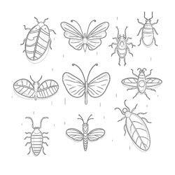 Insekten Färbung Seiten für Vorschulkinder - Druckbare Ausmalbilder