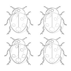 Lady Bugs Coloring Pages - Printable Coloring page
