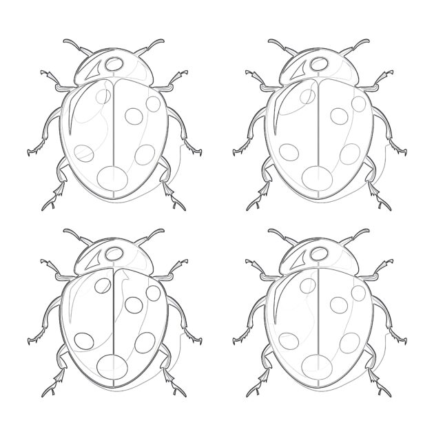 Lady Bugs Coloring Pages 