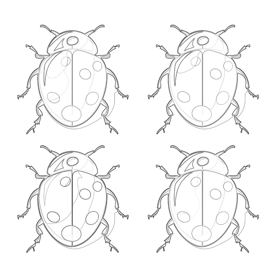 Lady Bugs Coloring Pages