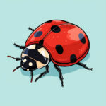 Ladybird Coloring Pages 2